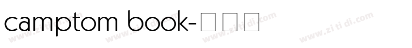 camptom book字体转换